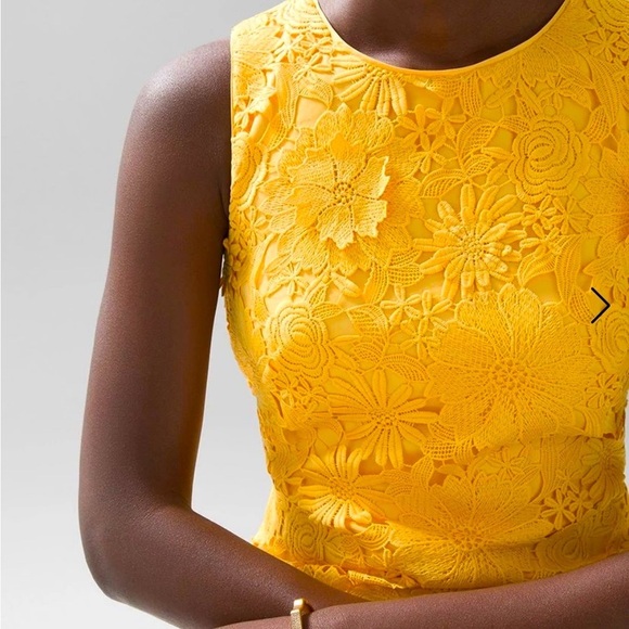 NWT WHBM Lace shift dress 6 - Dandelion. Spring, EasterParade, Lace, Boho, HAPPY - Picture 10 of 10